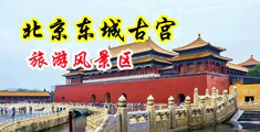 鸡巴操操全过程中国北京-东城古宫旅游风景区